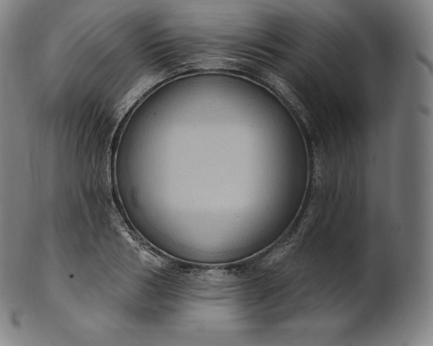 X0000101210986200807111029