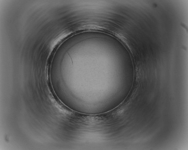 X0000101210987200807111029