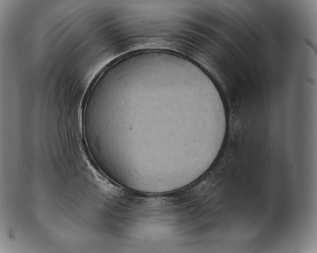 X0000101210988200807111029