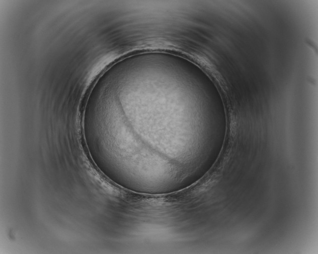 X0000101210990200807111029