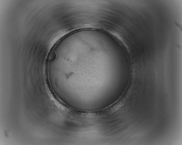 X0000101210991200807111029