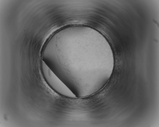 X0000101210992200807111029