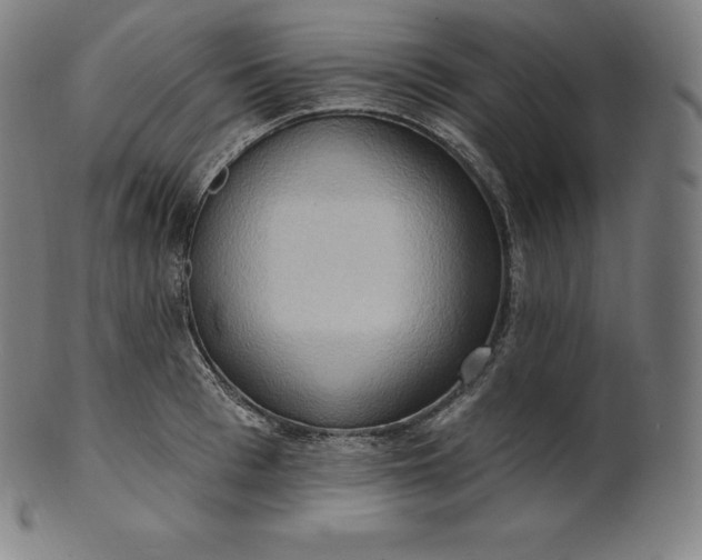 X0000101210993200807111029