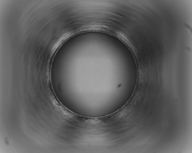 X0000101210994200807111029