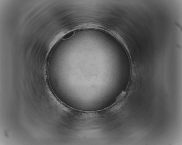 X0000101210997200807111029