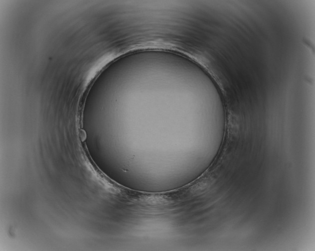 X0000101210998200807111029