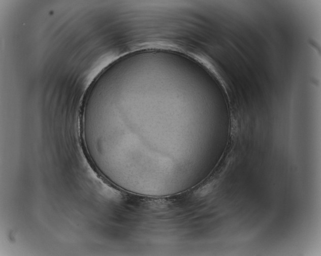 X0000101210999200807111029