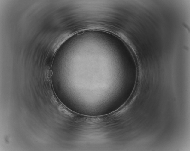 X0000101211001200807111029