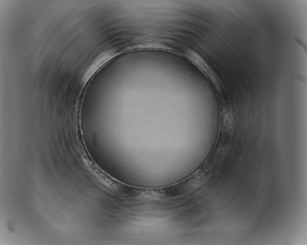 X0000101211002200807111029