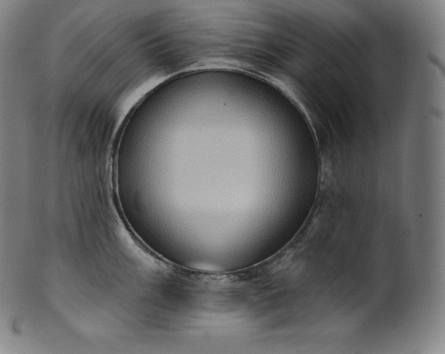 X0000101211003200807111029