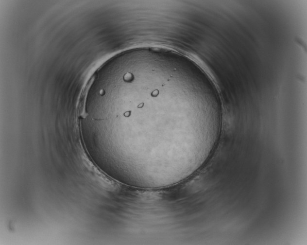 X0000101211004200807111029