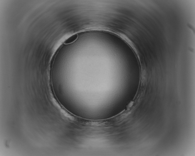 X0000101211005200807111029