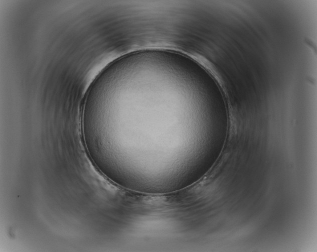 X0000101211006200807111029