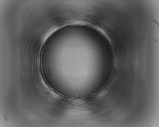 X0000101211007200807111029