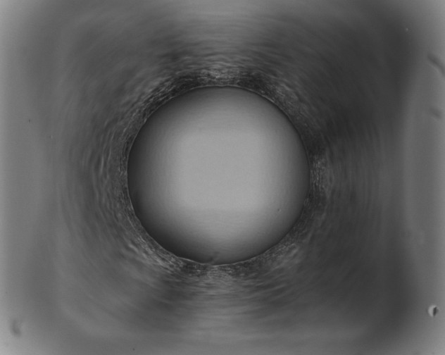 X0000101211009200807111028