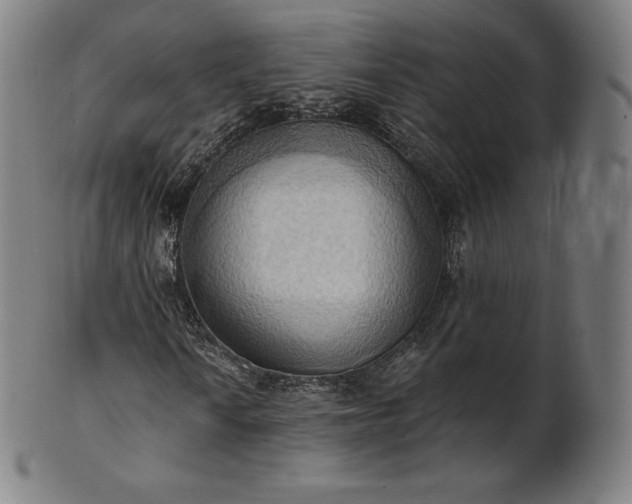 X0000101211010200807111028