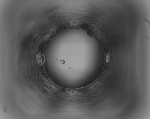 X0000101211011200807111028