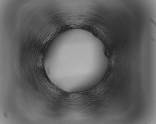 X0000101211012200807111028