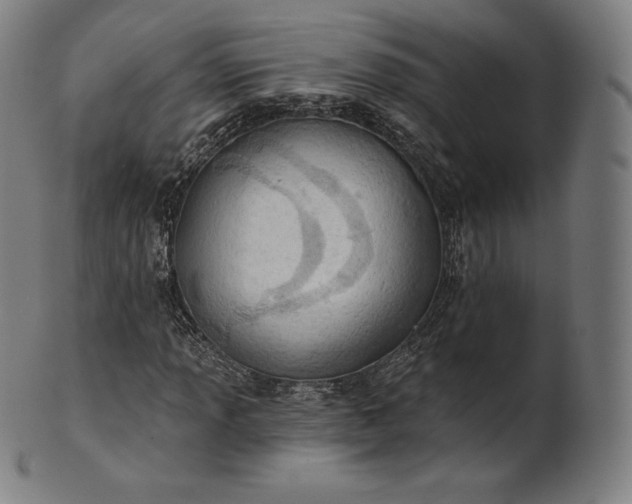 X0000101211013200807111028