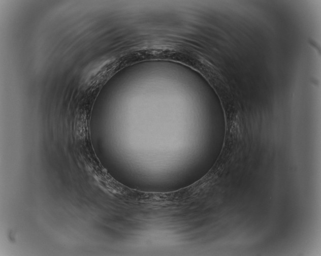 X0000101211014200807111028