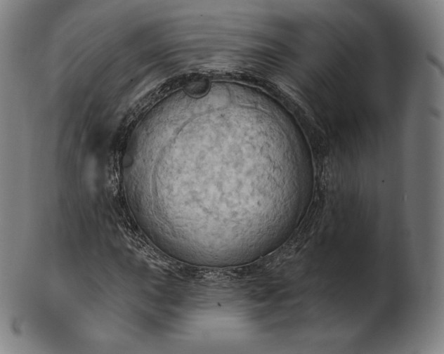 X0000101211015200807111028