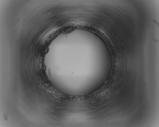 X0000101211016200807111028