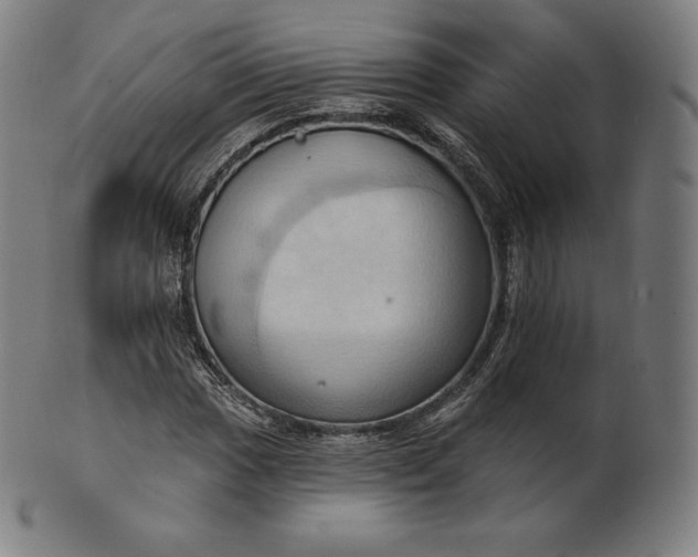 X0000101211017200807111028