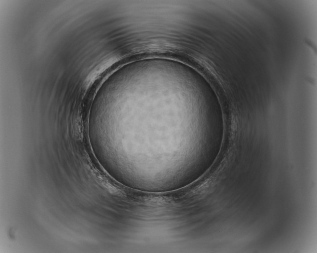 X0000101211018200807111028