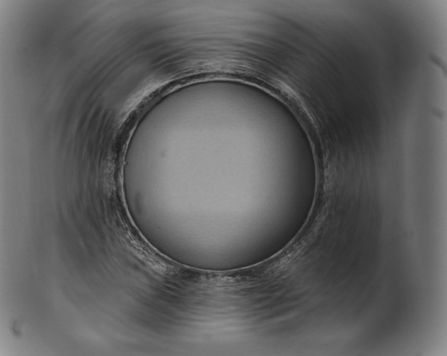 X0000101211019200807111028