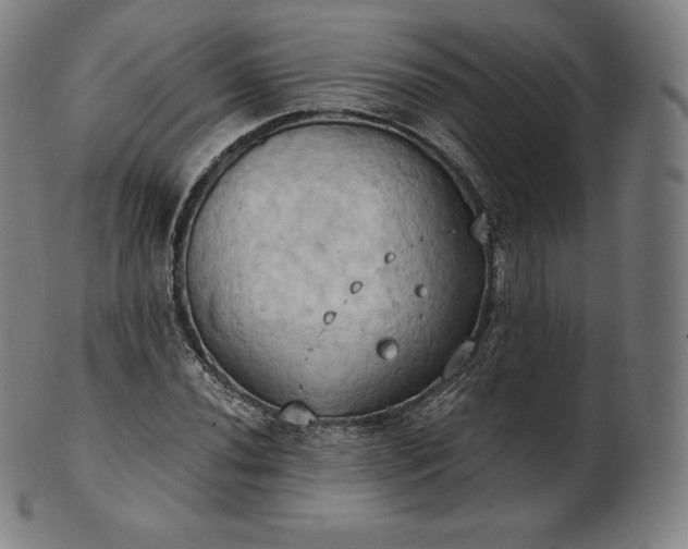 X0000101211020200807111028