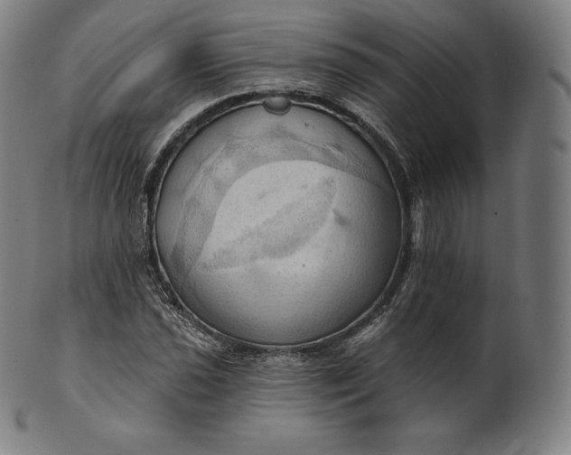 X0000101211021200807111028