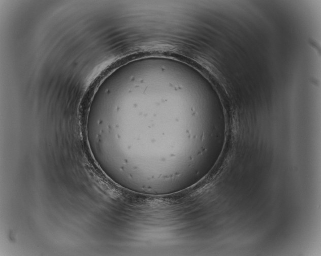 X0000101211022200807111028