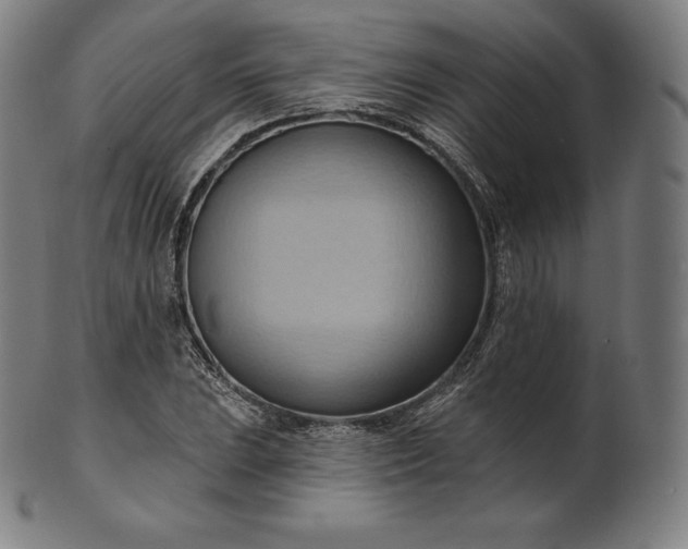 X0000101211023200807111028