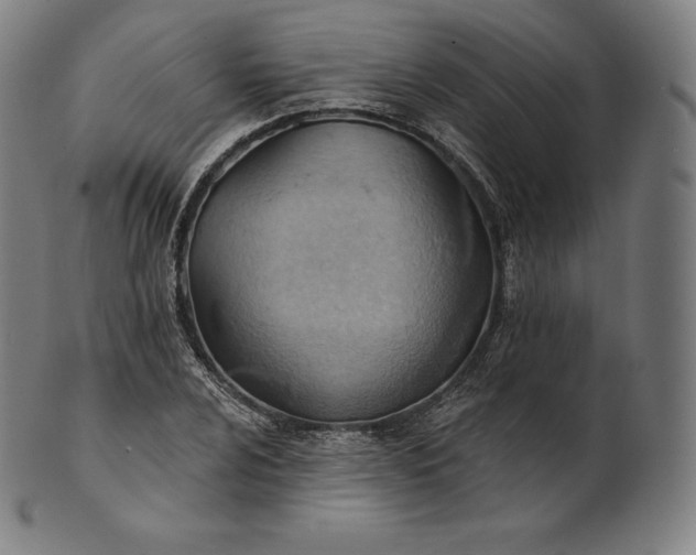 X0000101211024200807111028