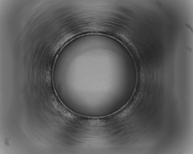 X0000101211025200807111028