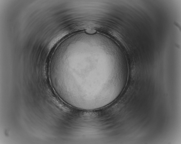 X0000101211026200807111028