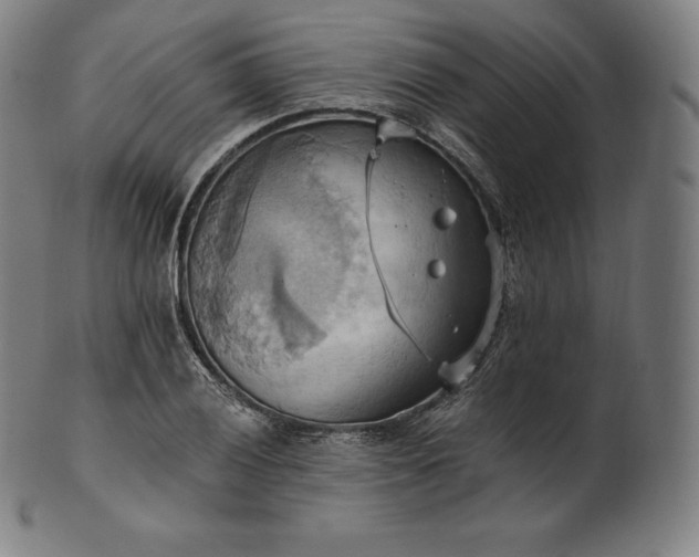 X0000101211028200807111028