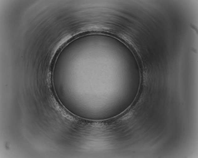 X0000101211029200807111028