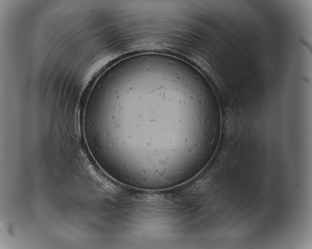 X0000101211030200807111028