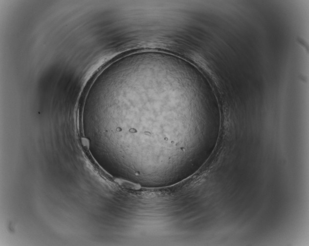 X0000101211032200807111028