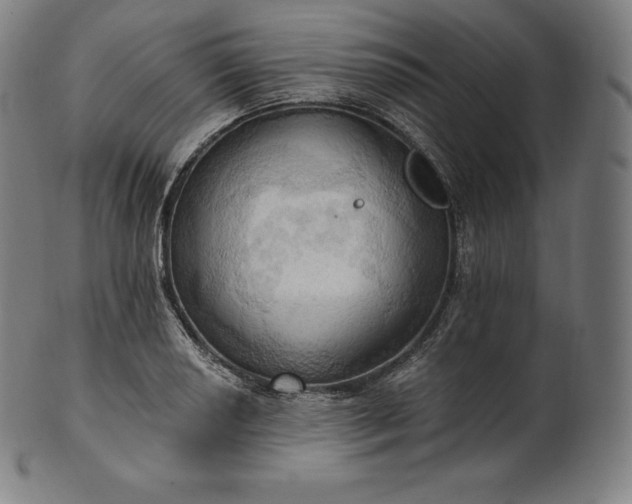 X0000101211034200807111028