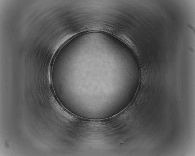 X0000101211036200807111028