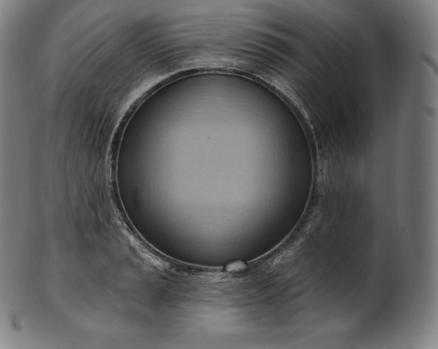 X0000101211037200807111028