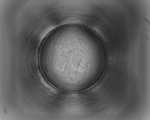 X0000101211038200807111028