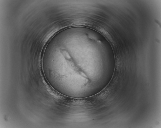 X0000101211039200807111028