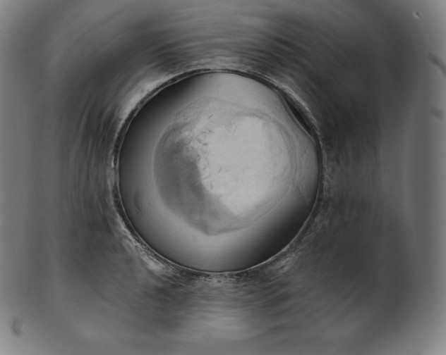 X0000101211040200807111028