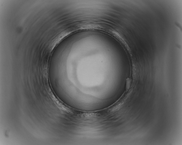 X0000101211041200807111028