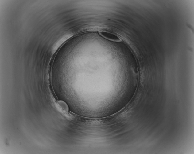 X0000101211042200807111028