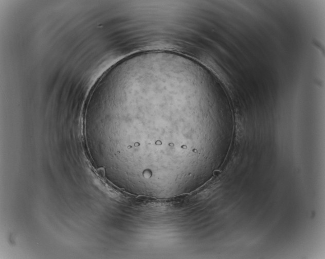 X0000101211044200807111028