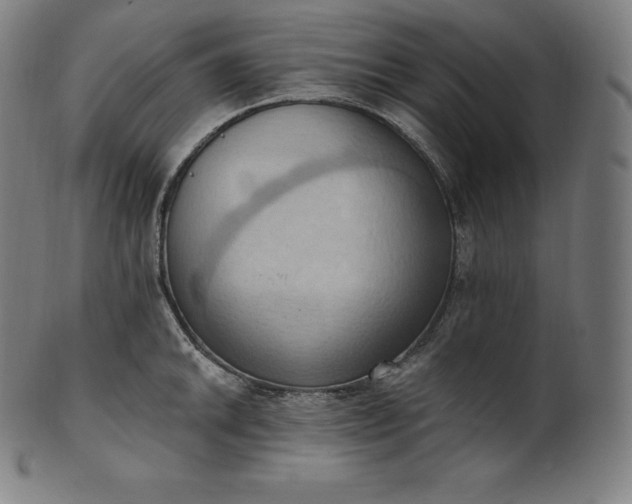 X0000101211046200807111028